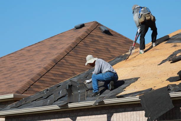 Best Roof Insulation Installation  in Rayre, MO